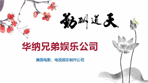 华纳兄弟娱乐公司