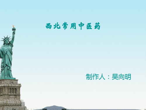 西北常用中医药