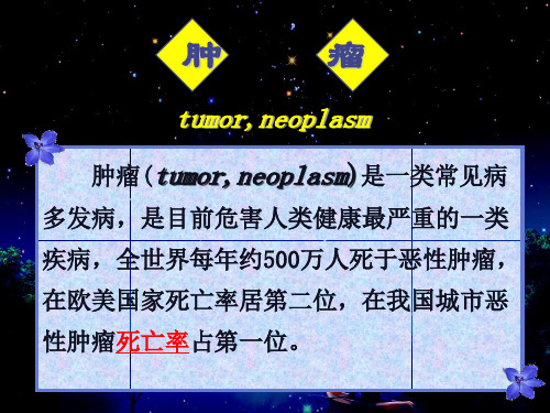 肿瘤专题知识讲座课件