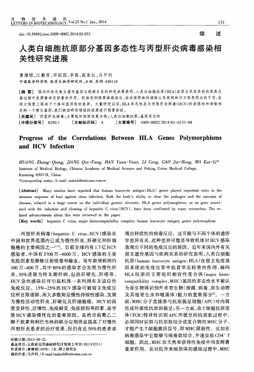 人类白细胞抗原部分基因多态性与丙型肝炎病毒感染相关性研究进展