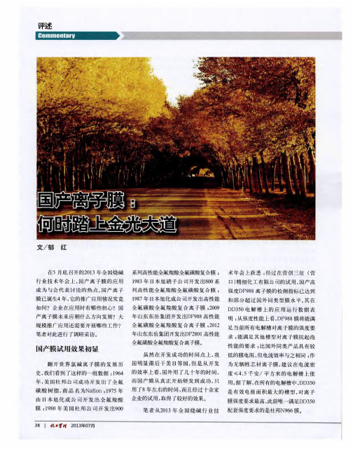 国产离子膜：何时踏上金光大道