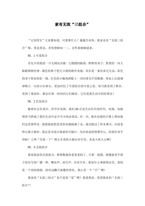 家有无敌“三组合”_小学五年级作文600字