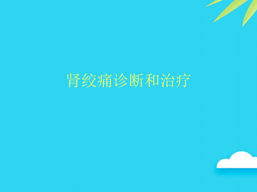 【正式版】肾绞痛诊断和治疗PPT