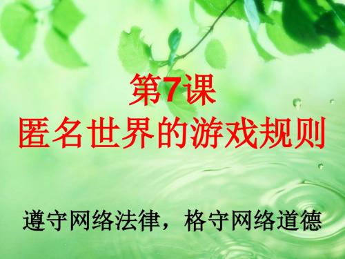 教科版道德与法治八年级上册8课 匿名世界的游戏规则公开课课件