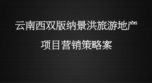 云南西双版纳景洪旅游地产项目营销策略案 69p
