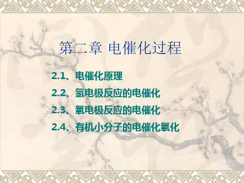 第二章电催化教程