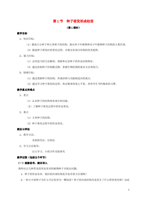 七年级生物上册3.6.1种子萌发形成幼苗教案北师大版