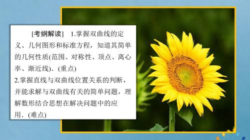 高考数学一轮复习第8章平面解析几何第6讲双曲线课件理