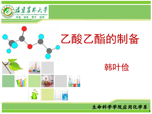 实验化学2_ 乙酸乙酯的制备_乙酸乙酯的制备_