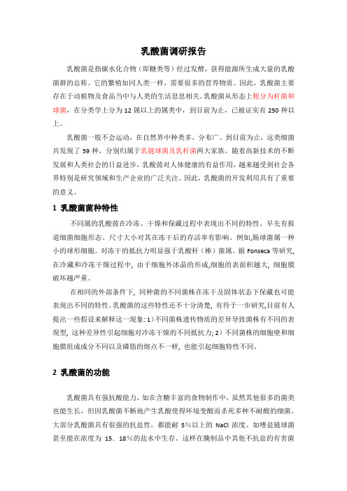 乳酸菌调研报告