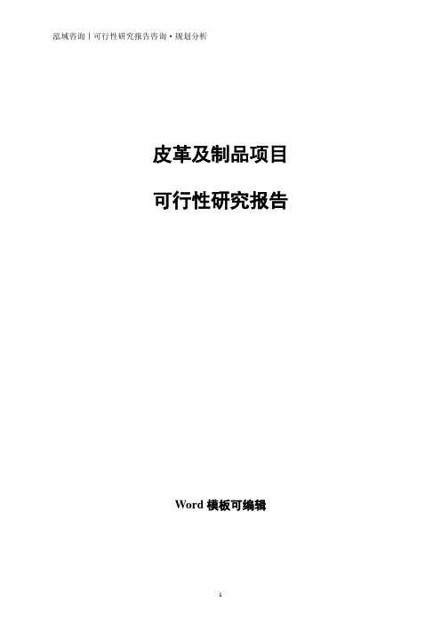 皮革及制品项目可行性研究报告
