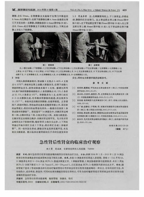 急性肾后性肾衰的临床治疗观察