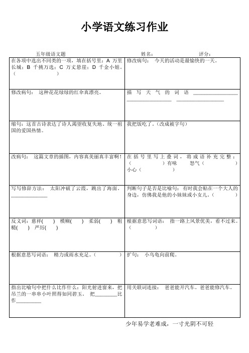 连云港市墟沟小学五年级语文练习题 (41)