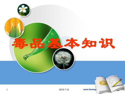 毒品基本知识