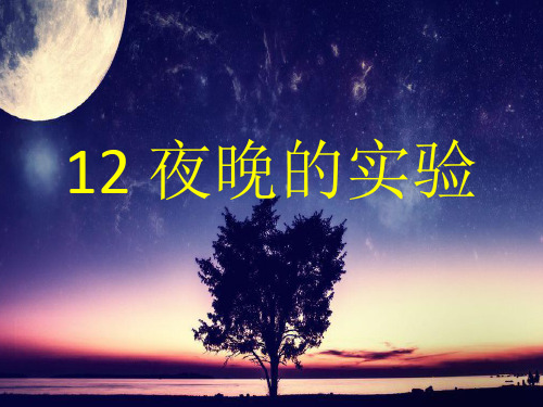 苏教版六年级语文下册《文  12 夜晚的实验》优质课课件_1