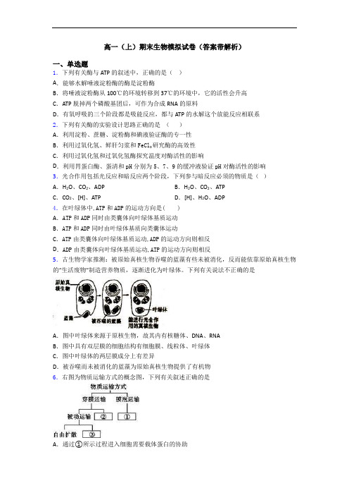 高一(上)期末生物模拟试卷(答案带解析)