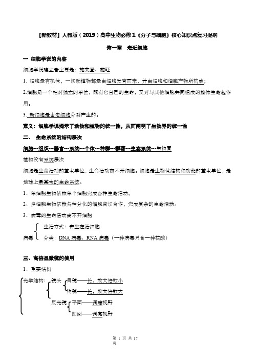 【新教材】人教版(2019)高中生物必修1《分子与细胞》核心知识点复习提纲(实用,必备!)