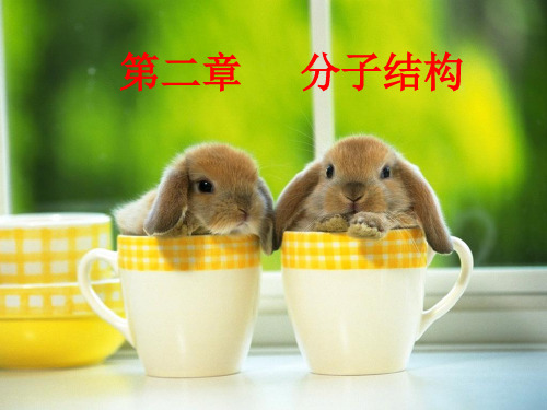 大学无机化学-分子结构