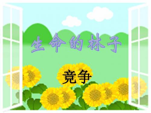 《生命的林子》