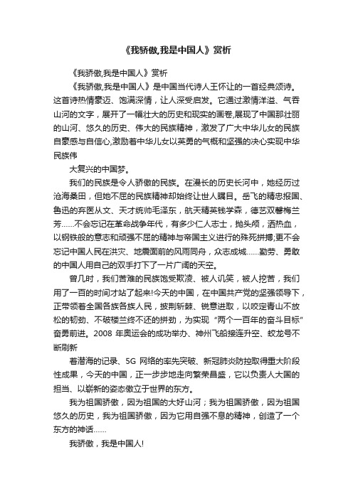 《我骄傲,我是中国人》赏析