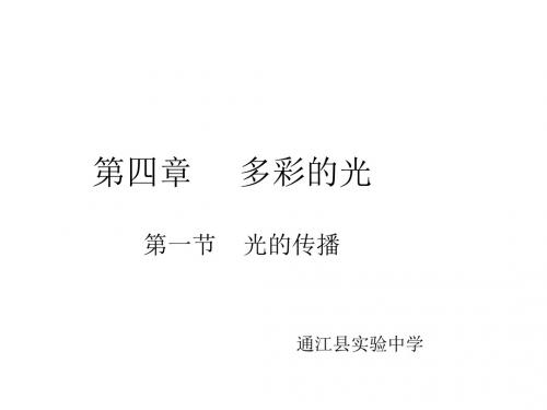 八年级物理多彩的光