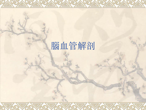 脑血管应用解剖课件