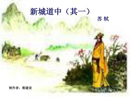 新城道中(其一)课件全面版