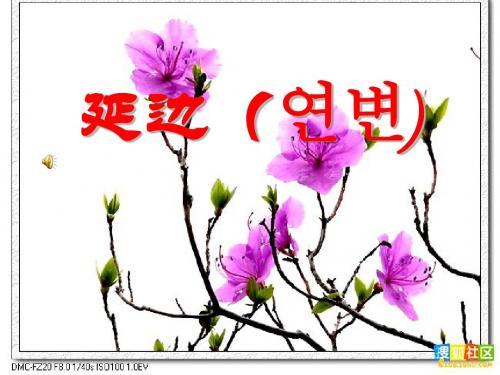延边风景民情介绍