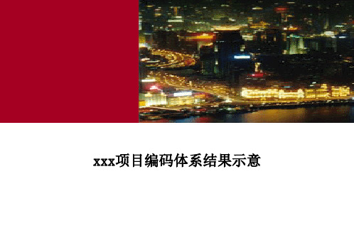 XX SAP ERP 项目编码体系结果示意-0916