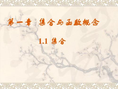 集合与函数概念ppt 人教课标版
