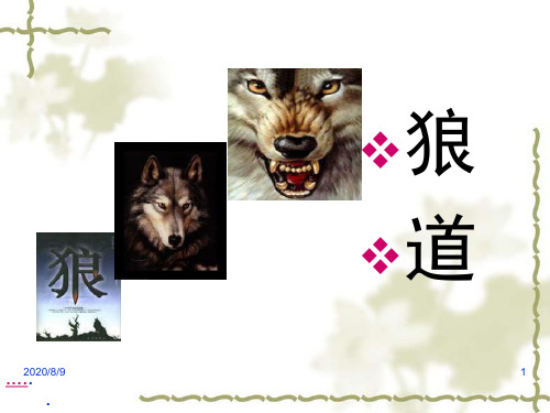 狼道—绝对竞争的血酬定律.pptx