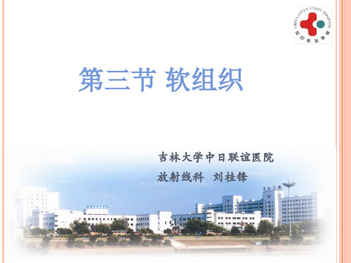 影像学-3软组织-医学资料