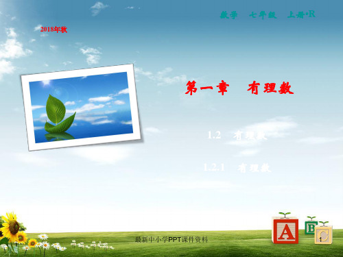 七年级数学上册第1章有理数1.2有理数1.2.1有理数课件新版新人教版