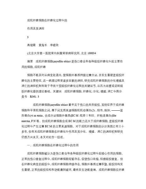 成肌纤维细胞在纤维化过程中的作用及其调控(精)