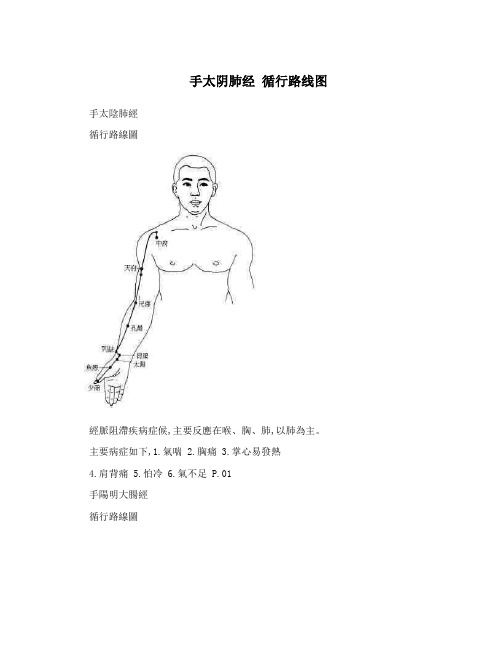 手太阴肺经循行路线图