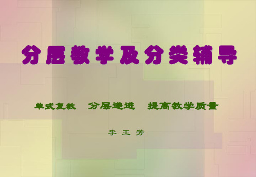 分 层 教 学及 其 实 施PPT