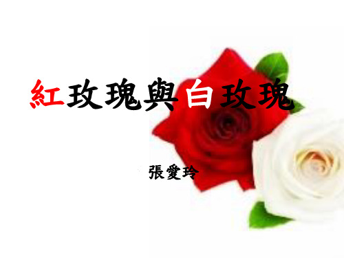 红玫瑰与白玫瑰