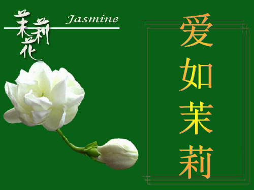 苏教版语文五年级下册爱如茉莉ppt