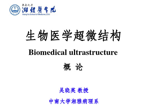 超微结构学概述PPT课件