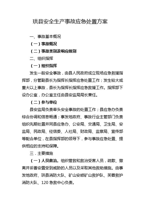 珙县安全生产事故应急处置方案概述