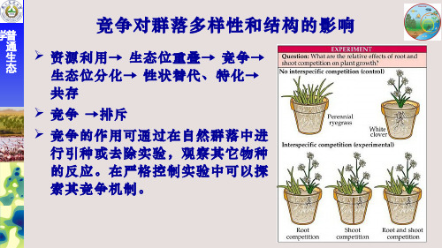 生态学(6.5.1)--捕食及生产力对生物多样性的影响
