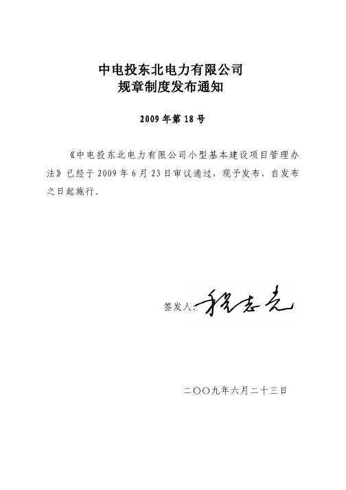 0018--中电投东北电力有限公司小型基本建设项目管理办法