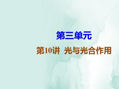 高三生物一轮复习优质课件2：第10讲 光与光合作用