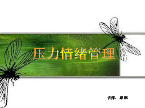 某地产新动力培训资料_压力情绪管理_43P