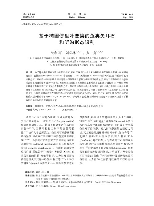 基于椭圆傅里叶变换的鱼类矢耳石和听沟形态识别