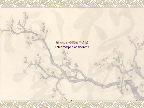 腮腺混合瘤影像诊断ppt课件