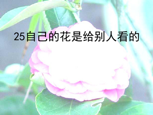 五年级下册自己的花是让别人看的PPT教学课件