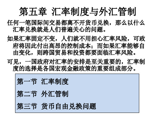 汇率制度与外汇管制(ppt31页).pptx