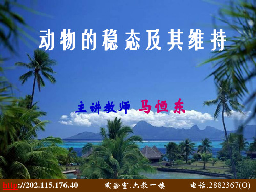 动物稳态及维持