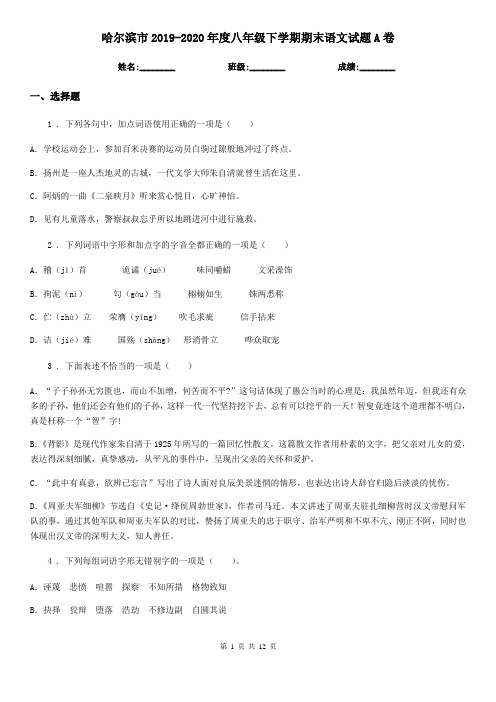 哈尔滨市2019-2020年度八年级下学期期末语文试题A卷